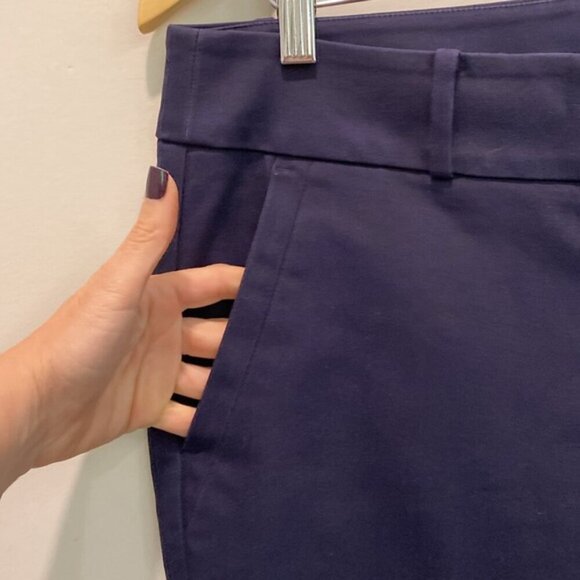Ann Taylor Loft Blue Julie Skinny Ankle Pants Size 8 - Picture 4 of 15
